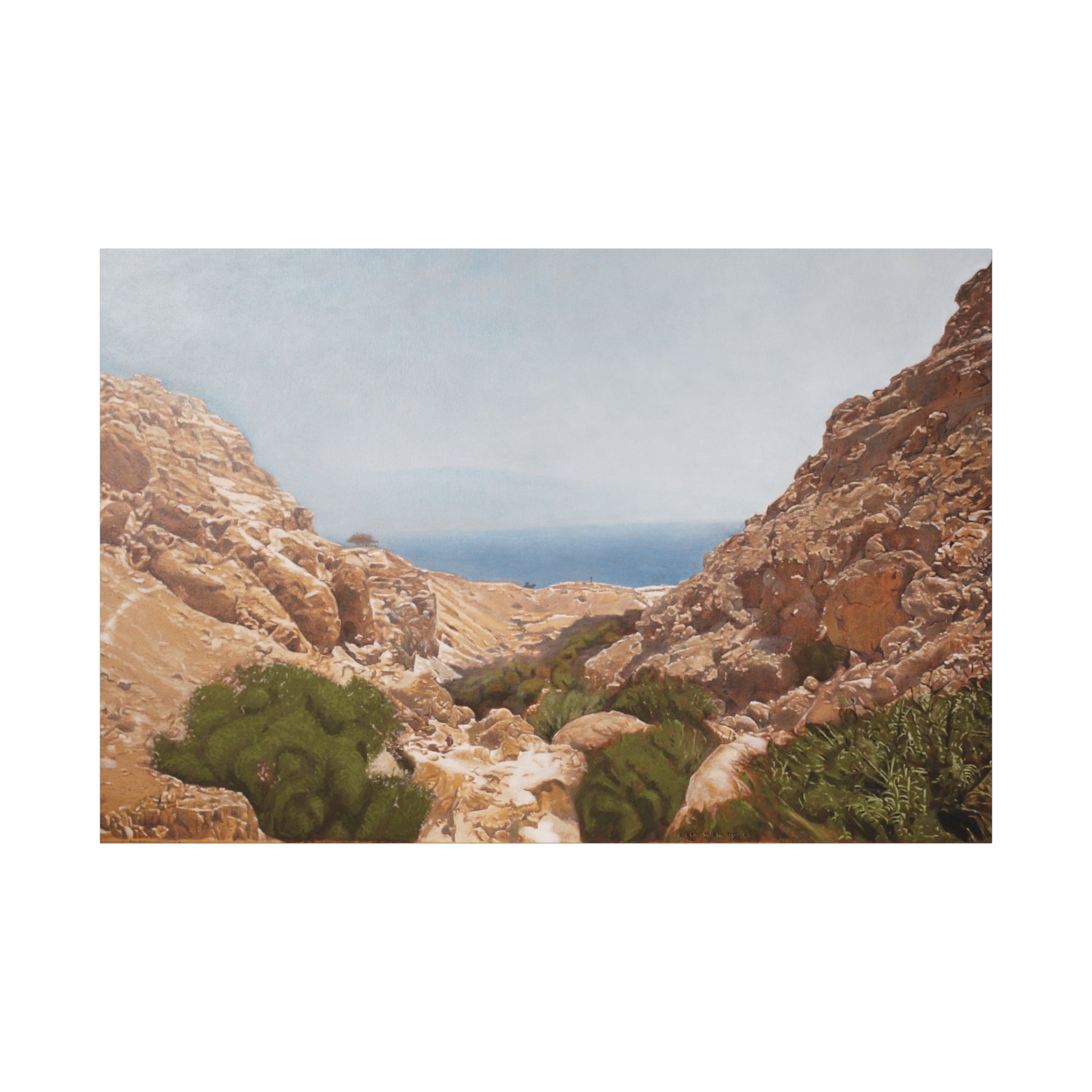 Ein Gedi