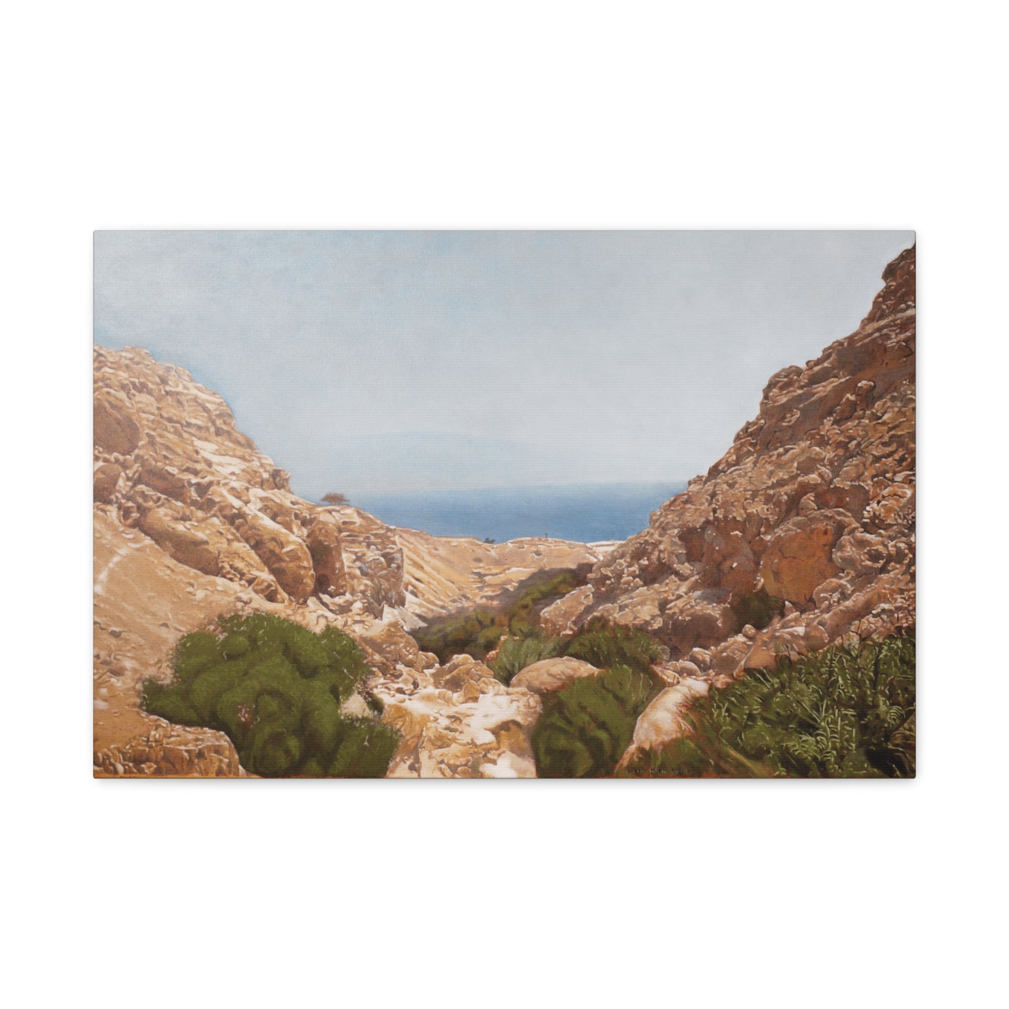 Ein Gedi