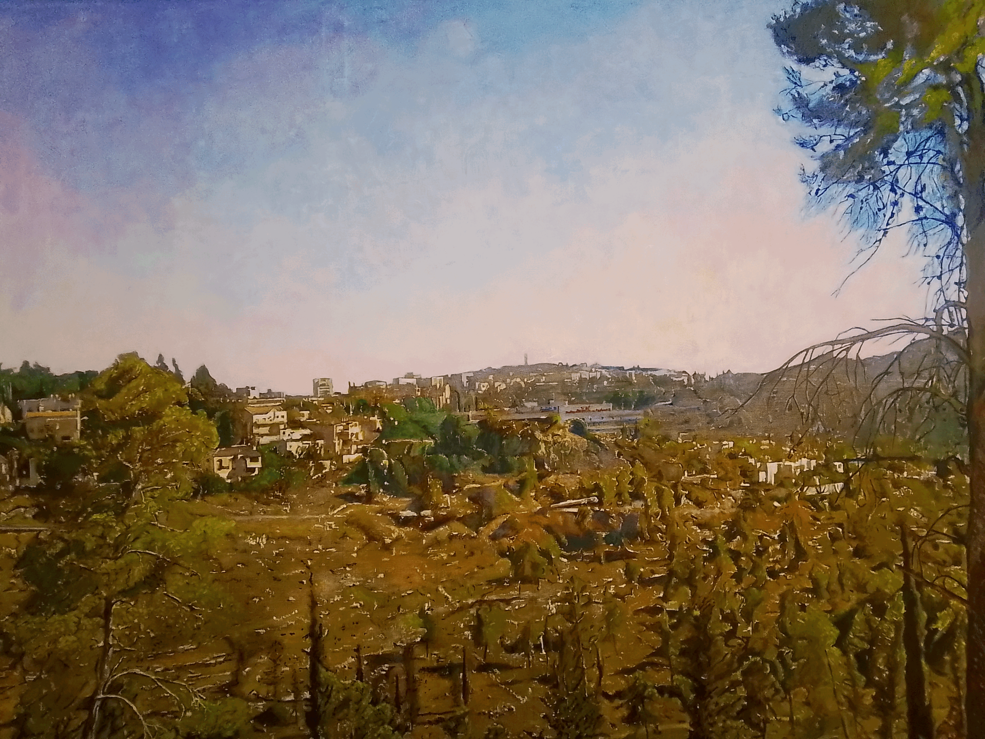 From Jerusalem Forest